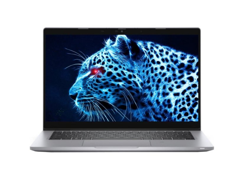 Dell Latitude 5310 - 13,3", Intel Core i5, 8 GB RAM, 512 GB SSD, Windows 11 Pro